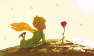 小王子和玫瑰花的寓意 小王子和玫瑰花的寓意是什么