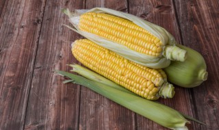 玉米蒸和煮有什么区别 玉米蒸和煮的区别