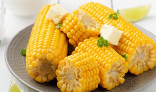 玉米怎么煮又黏又好吃的做法 玉米怎么煮又黏又好吃