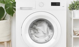 如何清洗洗衣机是洗衣机的正确维护方法 怎样清洗洗衣机是洗衣机的正确维护方法
