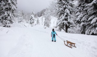 冬雪雪冬中指的是哪四个节气（冬雪雪东指的是哪四个节气）