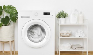 如何清洗洗衣机里的污垢 怎样清洗洗衣机里的污垢