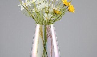 花瓶的寓意和象征 石榴花瓶的寓意和象征