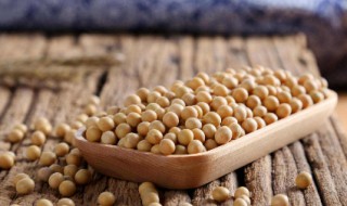 黄豆的营养成分 黄豆的营养成分含量表