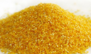 玉米渣的功效与作用及食用方法 玉米碴子的功效与作用