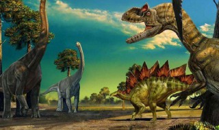 关于恐龙的小知识有哪些 关于恐龙的一些小知识