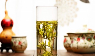 古树白茶属于什么茶 古树茶多少钱一斤