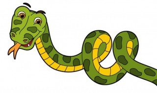 蛇的寓意吉祥语 蛇的寓意