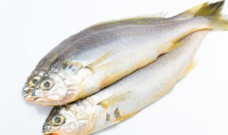 风吹鱼的腌制方法 风吹鱼的腌制方法和配料