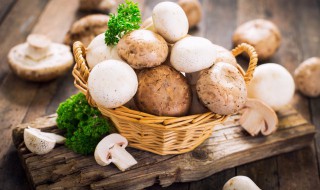 口蘑怎样做好吃又营养 口蘑怎样做好吃