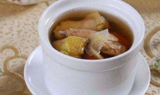 鸽子汤的功效与作用及营养价值 鸽子汤的功效