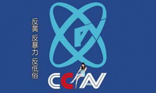 ccav是什么意思（ccv是什么意思）