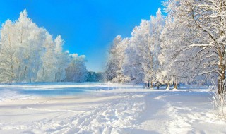 冬天的诗有哪些 冬天的诗有哪些10首