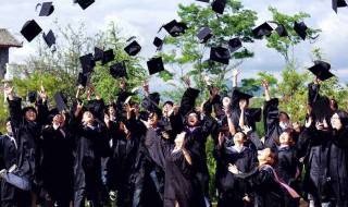 学士学位申请表内容（学士学位申请表内容怎么写）