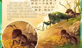 昆虫的故事 昆虫的故事和昆虫记是一本书吗