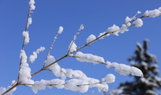 下雪发朋友圈唯美短句（下雪发朋友圈唯美短句抖音）