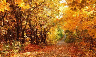 修辞手法形容秋天的句子 形容秋天的句子
