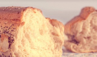 面包为什么不能放久 面包为什么不能冷藏