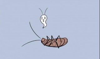 蟑螂为什么不能用脚踩 蟑螂为什么不能用脚踩是谣言吗