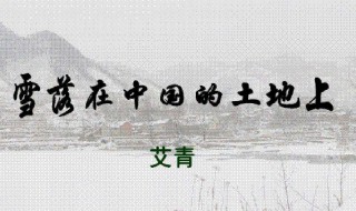 雪落在中国的土地上原文 雪落在中国的土地上原文图片
