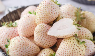 牛奶草莓的功效与作用及禁忌 牛奶草莓的功效与作用