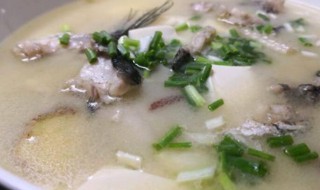 黑鱼汤的功效与作用做法 黑鱼汤的功效与作用及食用方法