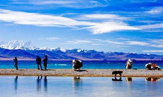 西藏十大最佳旅游景点宣传图片高清 西藏十大最佳旅游景点