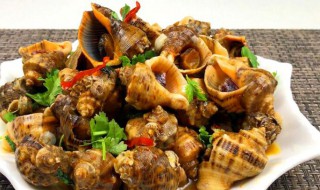 海螺的做法煮多长时间 海螺的做法煮多长时间海螺哪里不能吃