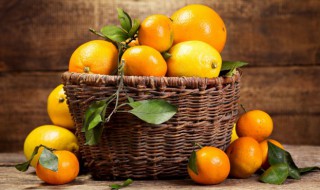 橙子储存保鲜方法 橙子保存方法以及温度