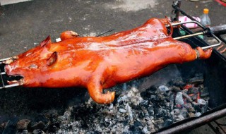 烤全猪的做法与用料和教程 烤全猪的做法与用料