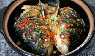 广东鱼煲的做法和配方