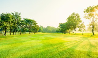 关于农村田园风景的好词好句摘抄 关于农村田园风景的好词好句