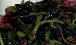 麻菜怎么做好吃 马齿苋菜10种家常做法