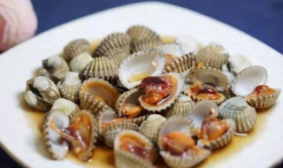 温州血蛤的腌制方法