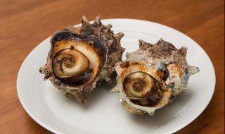 海螺怎样做好吃 海螺怎样做好吃呢
