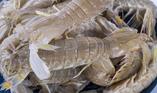 濑尿虾干怎样做好吃视频 濑尿虾干怎样做好吃