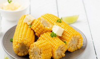 玉米糁煮多久才算熟 玉米糁一般煮多久