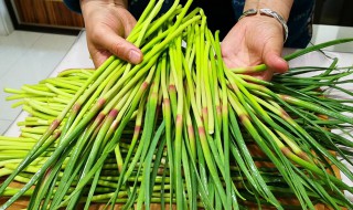 蒜苔怎么抽不断（蒜苔怎么抽不容易断）