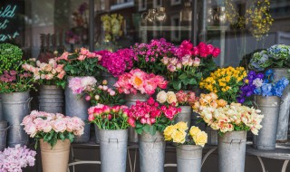 送花篮和花束区别（送花篮和花束区别是什么）