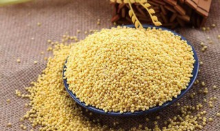 大黄米和小黄米哪个营养好 吃大黄米的好处和坏处