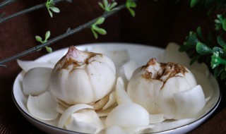 食用百合花的样子是什么样的 食用百合的花是什么样子的图片