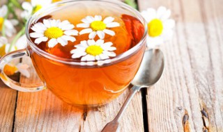 菊花茶的功效与功能菊花茶的饮用禁忌 菊花茶的益处和注意事项