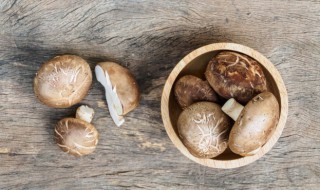 香菇有什么营养和功效 香菇有什么营养和功效和禁忌