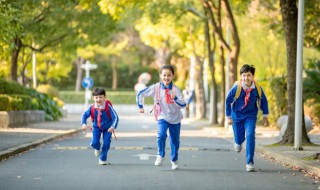 如何让孩子爱上运动 如何让孩子爱上运动家长心得