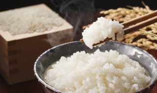 用盆蒸米饭怎么做 用盆蒸米饭的方法
