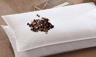 蚕沙枕的功效和作用 蚕沙枕的功效和作用是什么