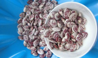 荷包豆的功效与作用禁忌荷包豆熬粥可以嘛 荷包豆的功效与作用禁忌
