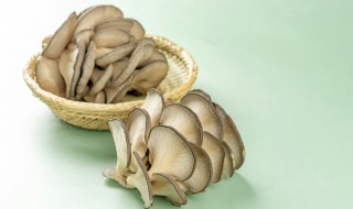 干炸蘑菇的家常做法 鲜蘑怎么炸更酥脆
