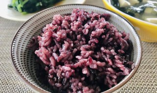 紫米做米饭必须提前泡吗为什么 紫米做米饭必须提前泡吗