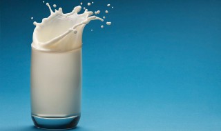 酸马奶的功效与作用及副作用 酸马奶的功效与作用